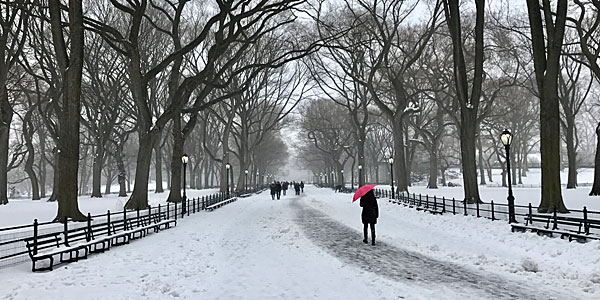 Nova York no frio: neve no Central Park