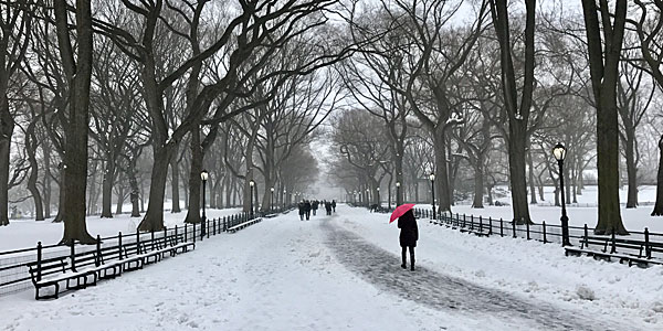 Clima de Natal em Nova York 2024 