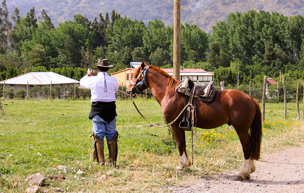 cajon del maipo cavalgada