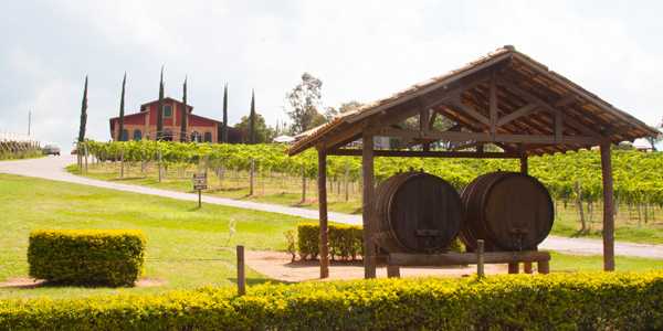 Fachada da Adega Micheletto, Circuito das Frutas