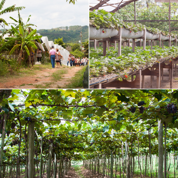 Circuito das Frutas: Chácara Alvorada