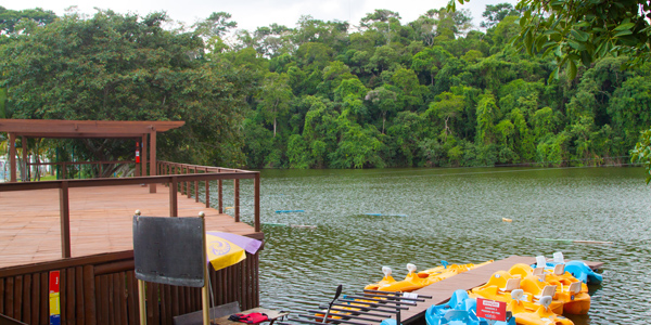 Como é o Wet'n Wild, o parque aquático a 40 minutos de São Paulo 3