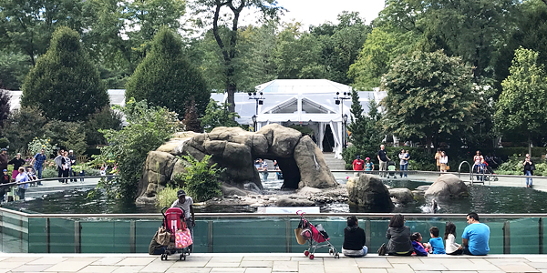 Nova York museus: Central Park Zoo