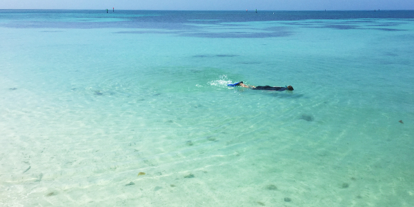 snorkel dry tortugas