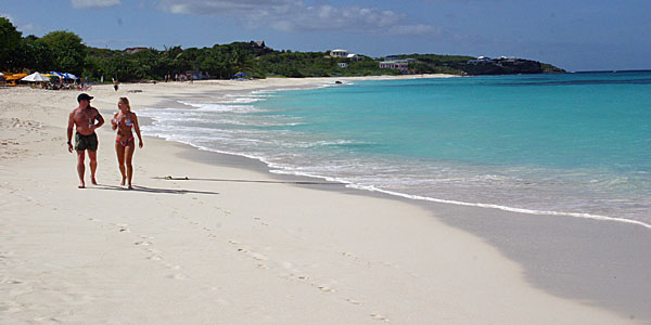 Lua de mel dicas: Anguilla