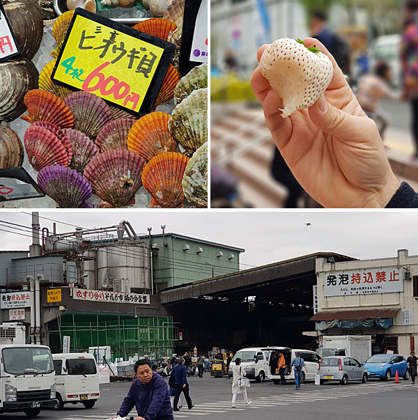Roteiro Tóquio: mercado Tsukiji