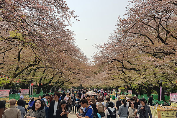 Roteiro Tóquio: Parque Ueno