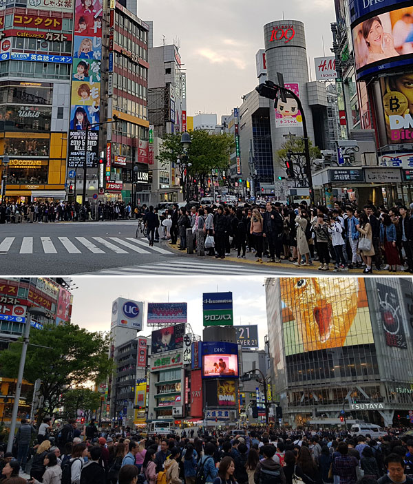 Roteiro Tóquio: Shibuya Crossing