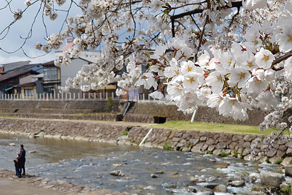 Roteiro Japão: Takayama