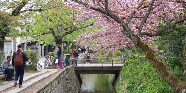 Roteiro Kyoto: Caminho dos Filósofos