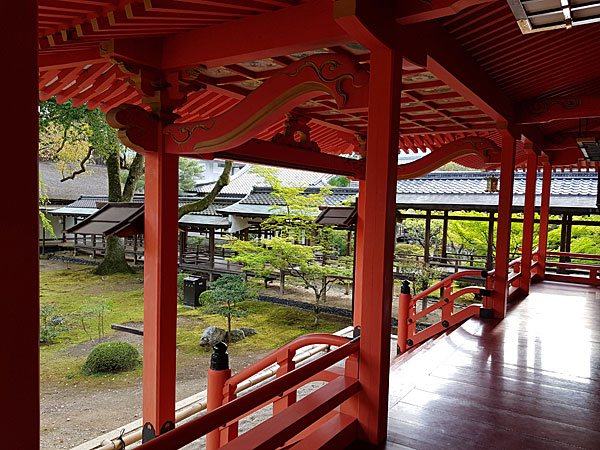 Roteiro Kyoto: Daikaku-ji