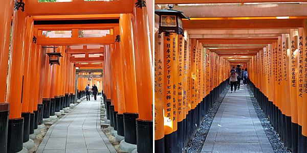 Roteiro Kyoto: Fushimi Inari