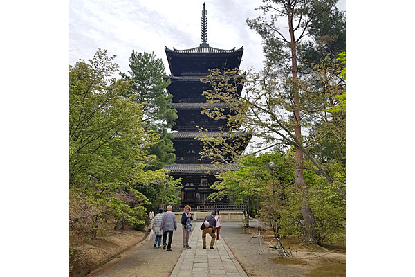 Roteiro Kyoto: Ninna-ji