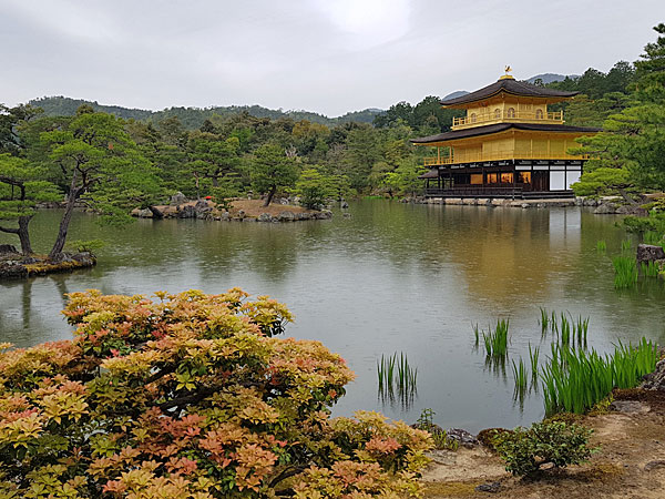 Roteiro Kyoto: Pavilhão Dourado