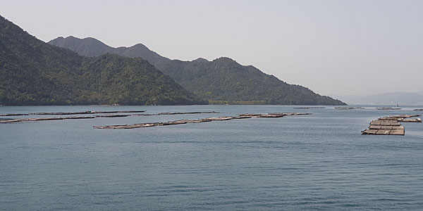 Roteiro Japão: Miyajima