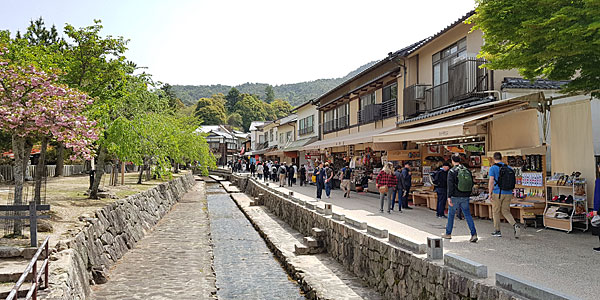 Roteiro Japão: Miyajima