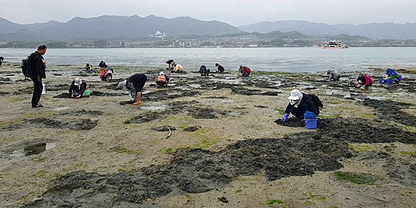 Roteiro Japão: Miyajima