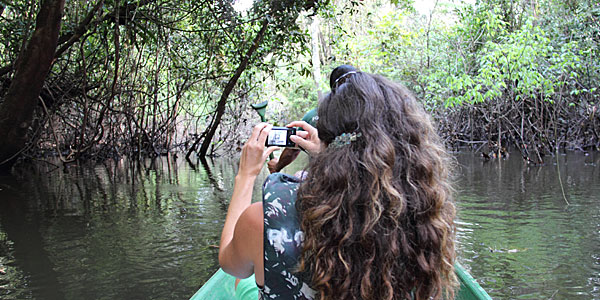 Manaus onde ficar: hotéis de selva e cruzeiros