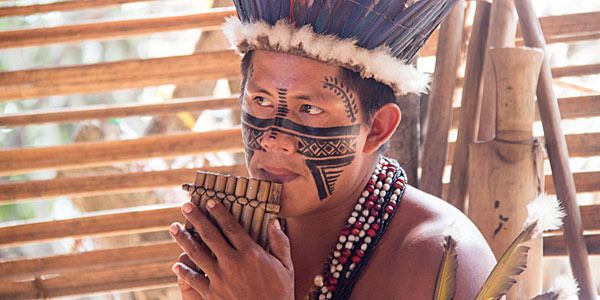 Manaus o que fazer: aldeia indígena