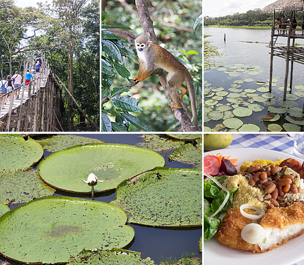 Manaus o que fazer: Parque Janauary