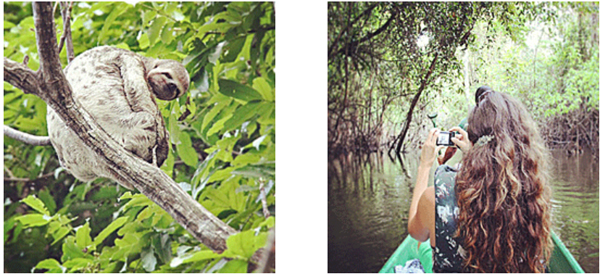 Amazônia hotel de selva: Uacari