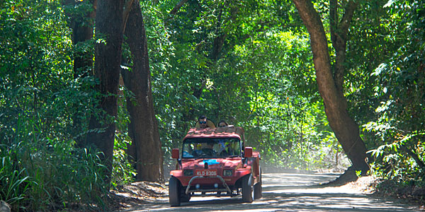 Porto de Galinhas o que fazer: passeio de bugue