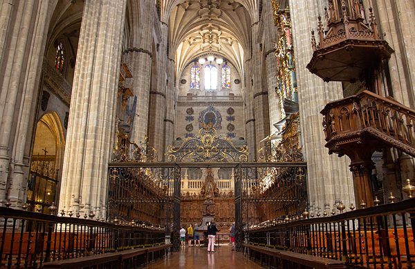 salamanca catedral nova