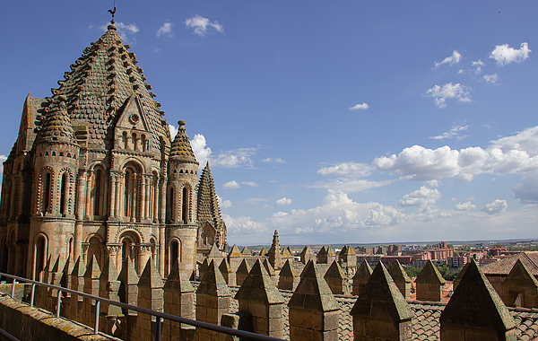 salamanca dicas: ieronimus catedral velha