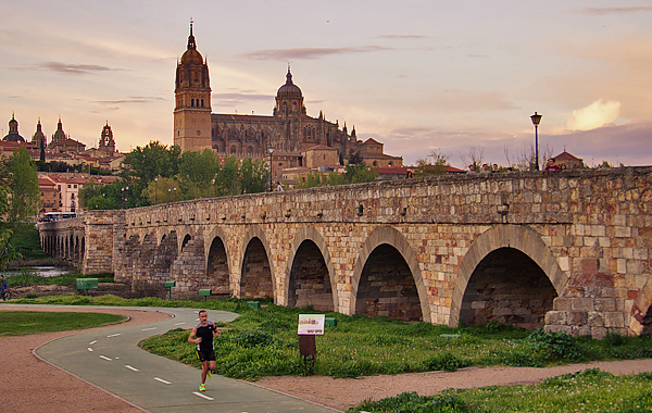 salamanca ponte romana