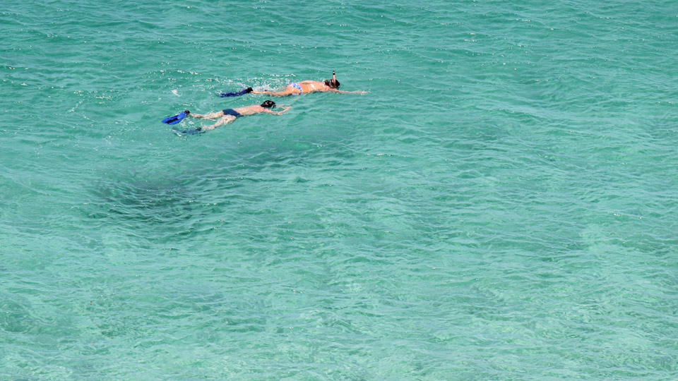 O que fazer em Fernando de Noronha: snorkel