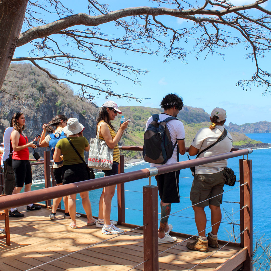 Observação de golfinhos em Fernando de Noronha