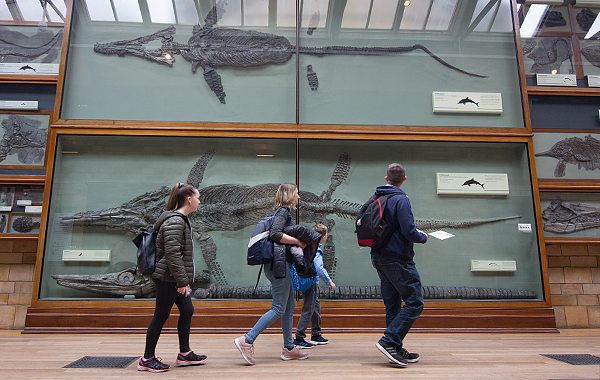 londres natural history museum