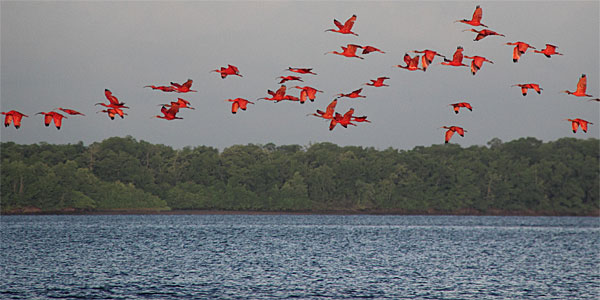 Barra Grande do Piauí: passeio do Delta do Parnaíba