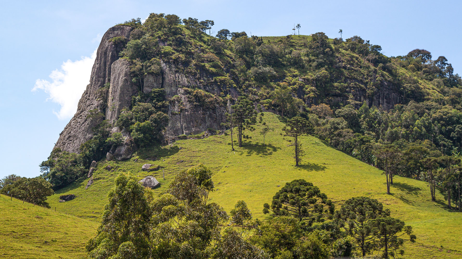 Gonçalves no feriado de 15 de novembro