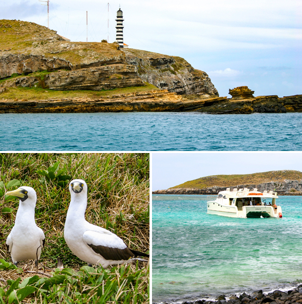 Abrolhos