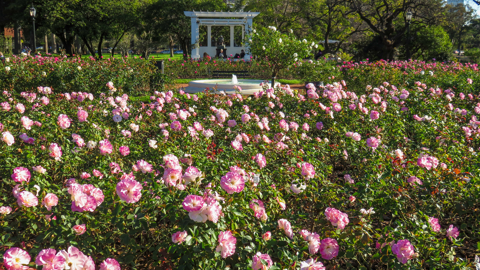 O que fazer em Buenos Aires: Rosedal de Palermo