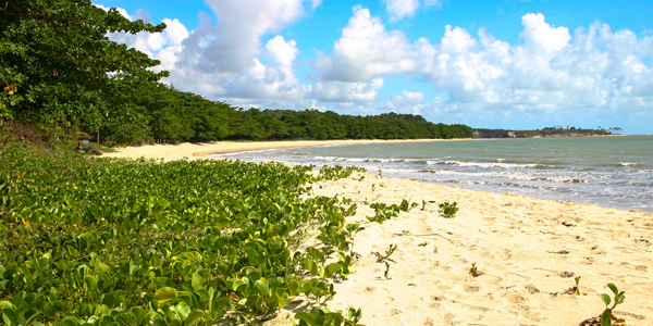 Praias do Sul da Bahia: Praia do Rio do Peixe, Cumuruxatiba