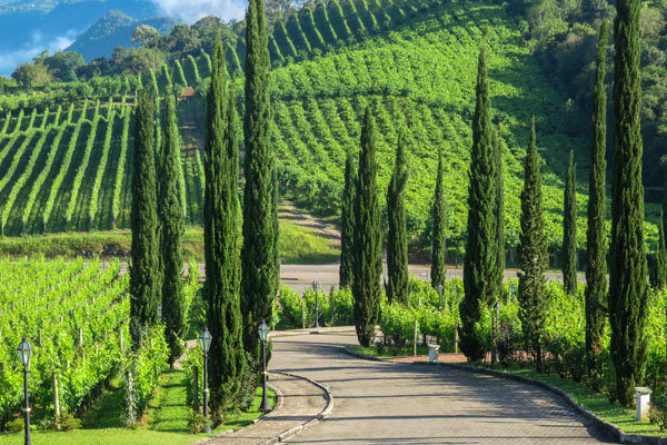 De São Paulo a Gramado de carro: Vale dos Vinhedos