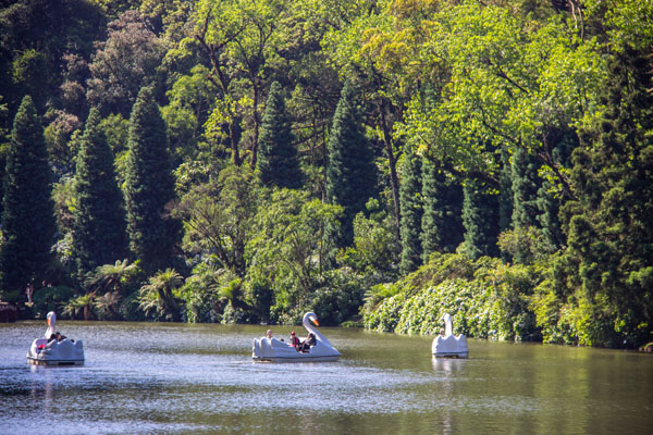 Lago Negro, Gramado