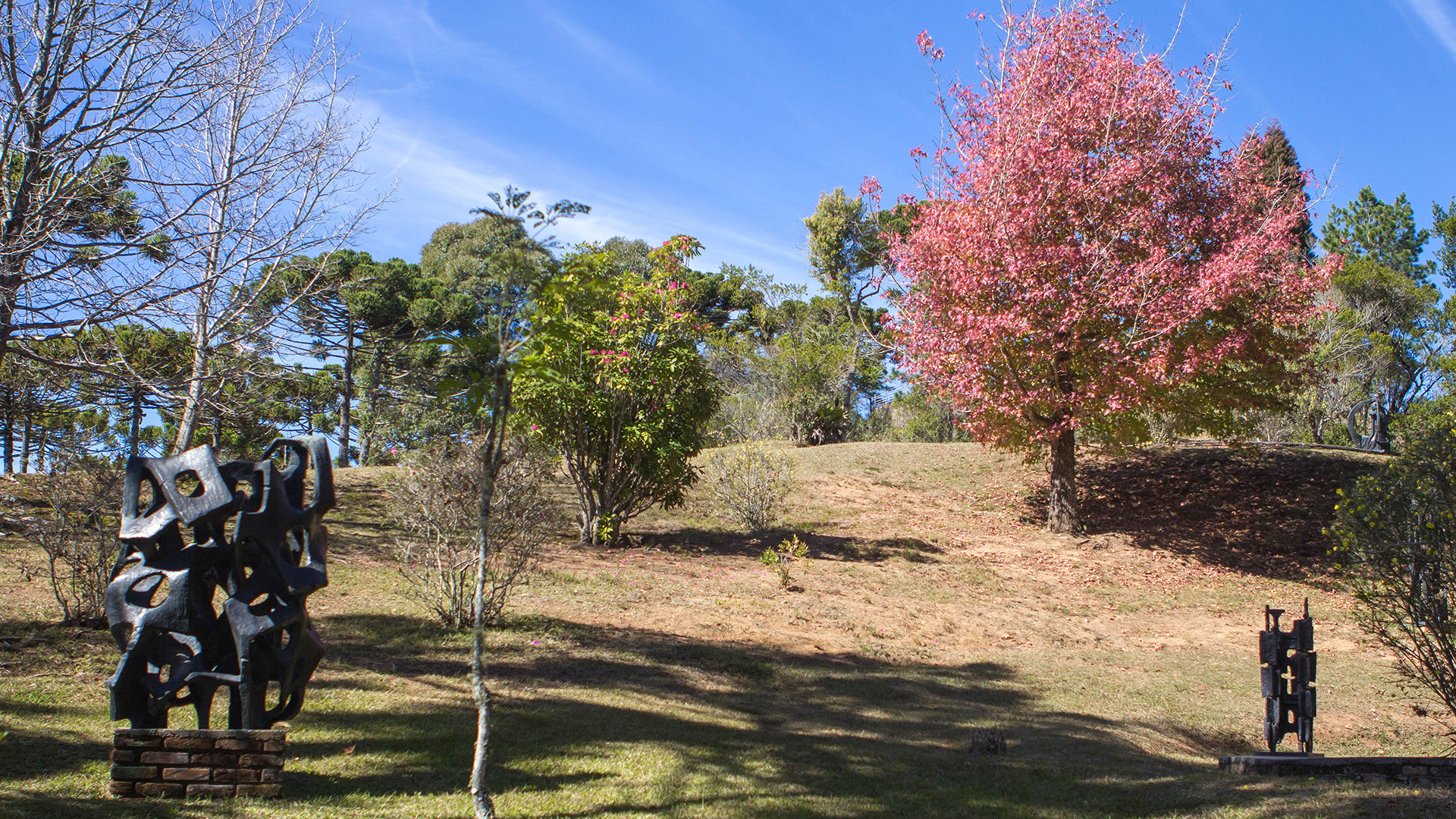 Campos do Jordão: Museu Felícia Leirner 4