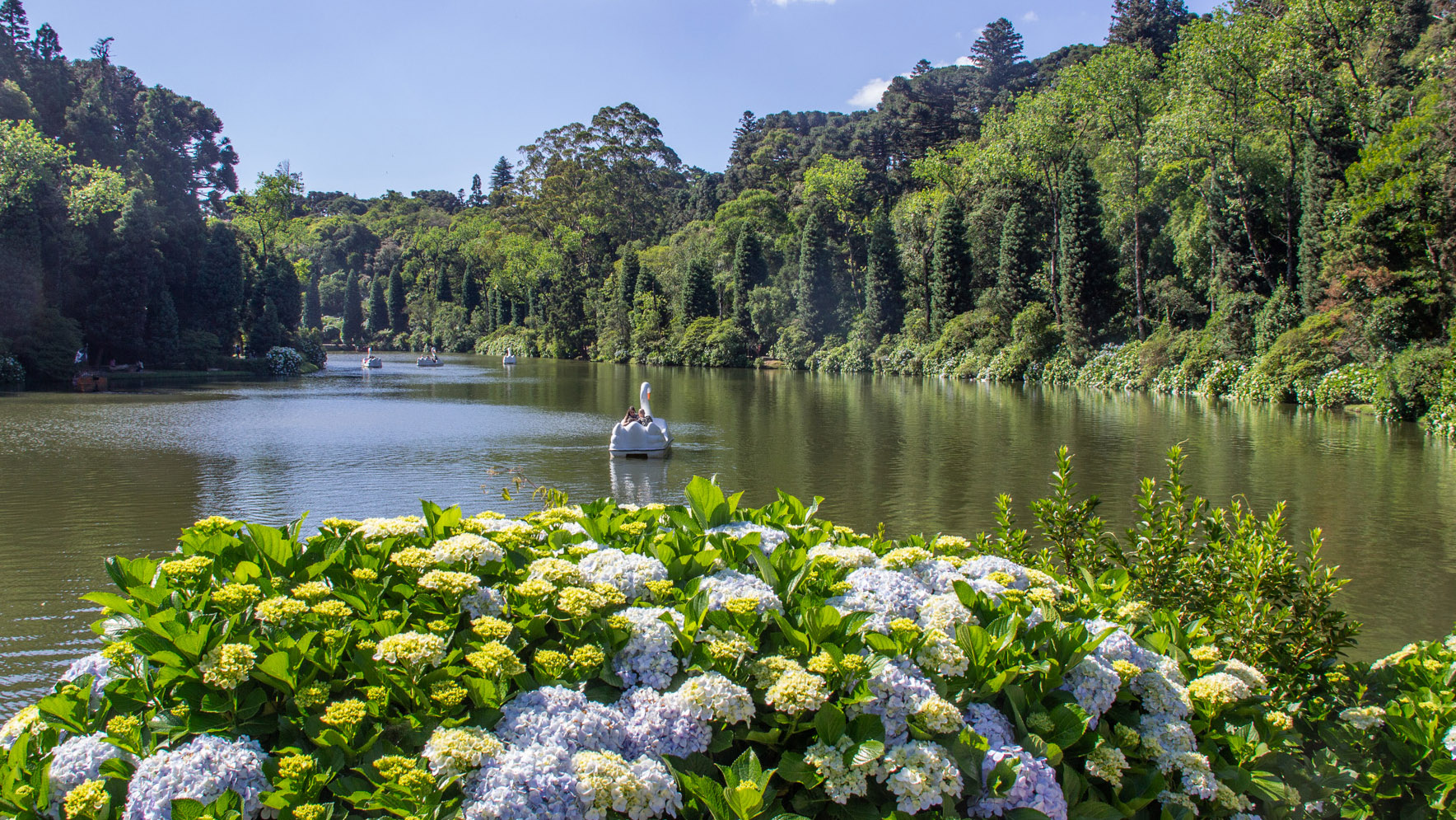 Lago Negro (Gramado)