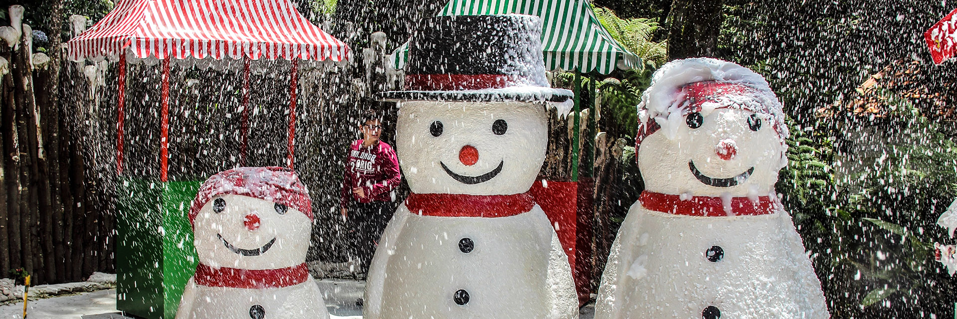 Quando ir a Gramado