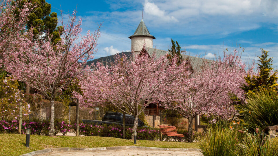 Guia de Monte Verde