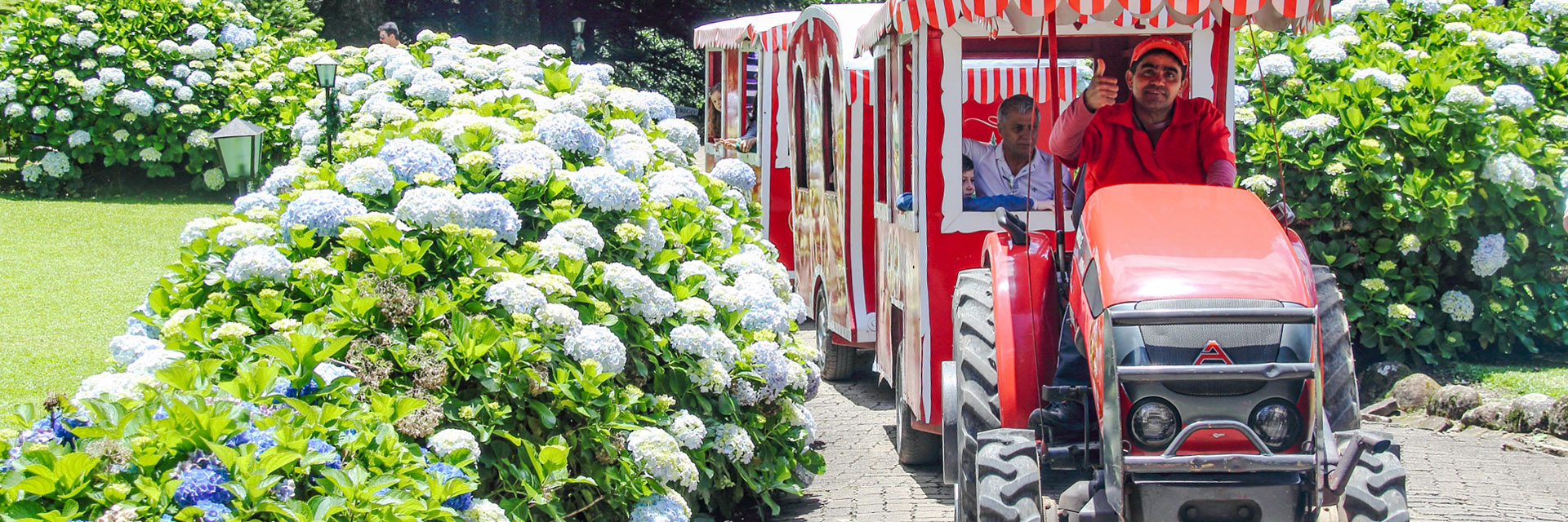 Precisa carro em Gramado?