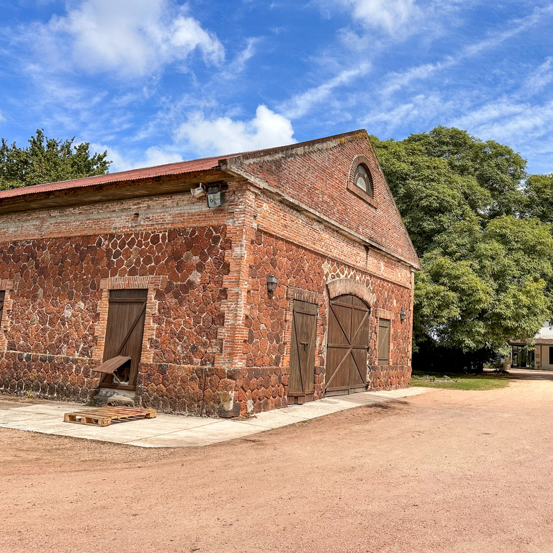 O que fazer em Montevidéu: Bodega Famllia Deicas