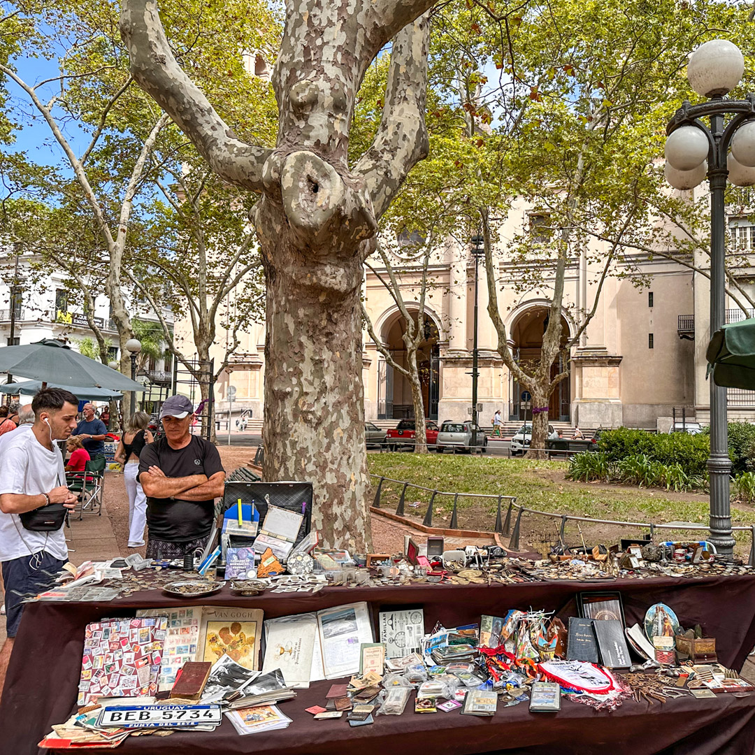 MOntevidéu feira de sábado Plaza Constitución