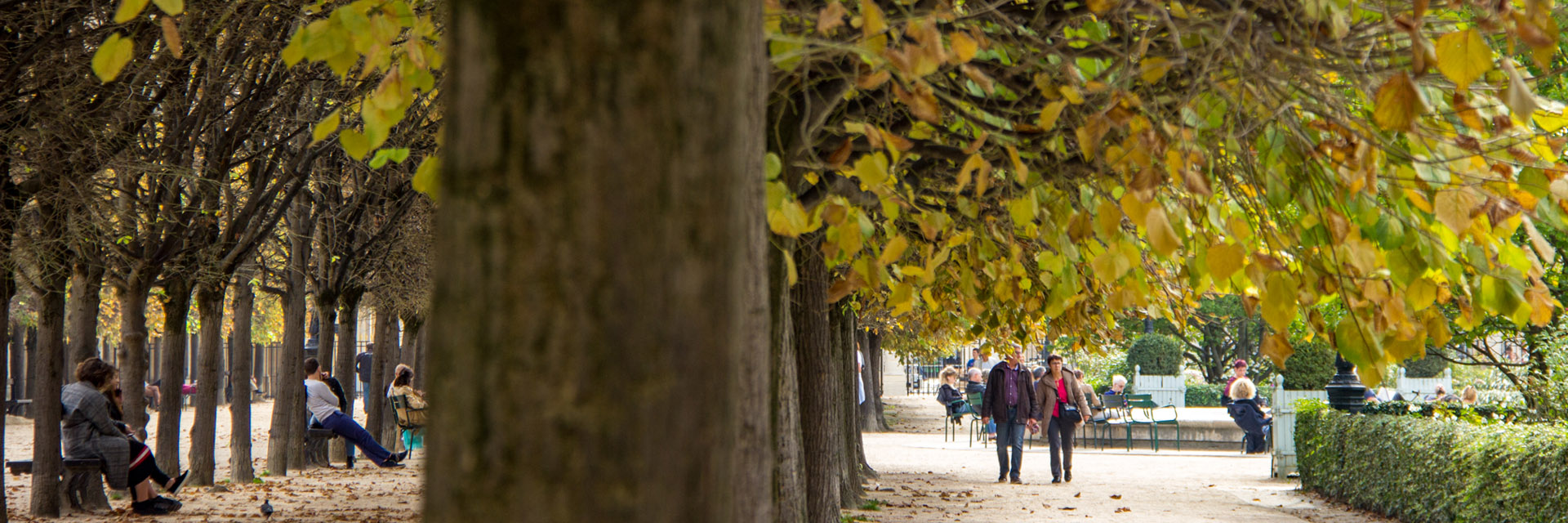 Onde comprar roupas de frio em Paris: 3 MELHORES DICAS de Paris