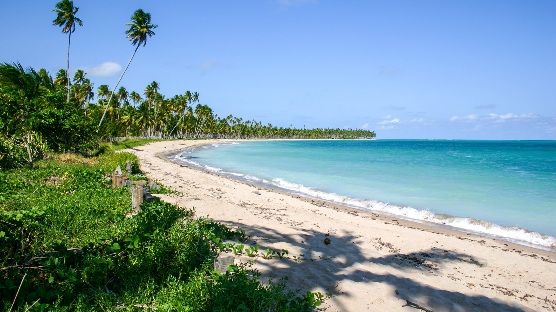 Quando ir a Milagres: praia da Laje