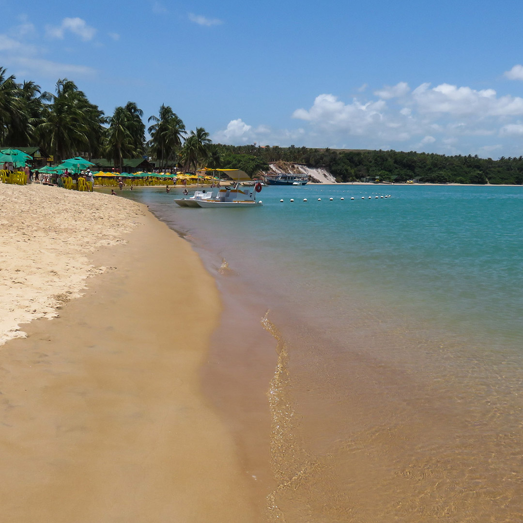 Praia do Gunga: lado lagoa