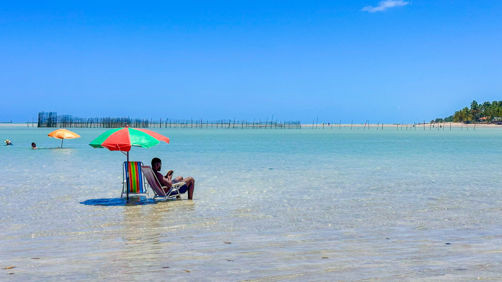 O que fazer em Maragogi: Ponta de mangue